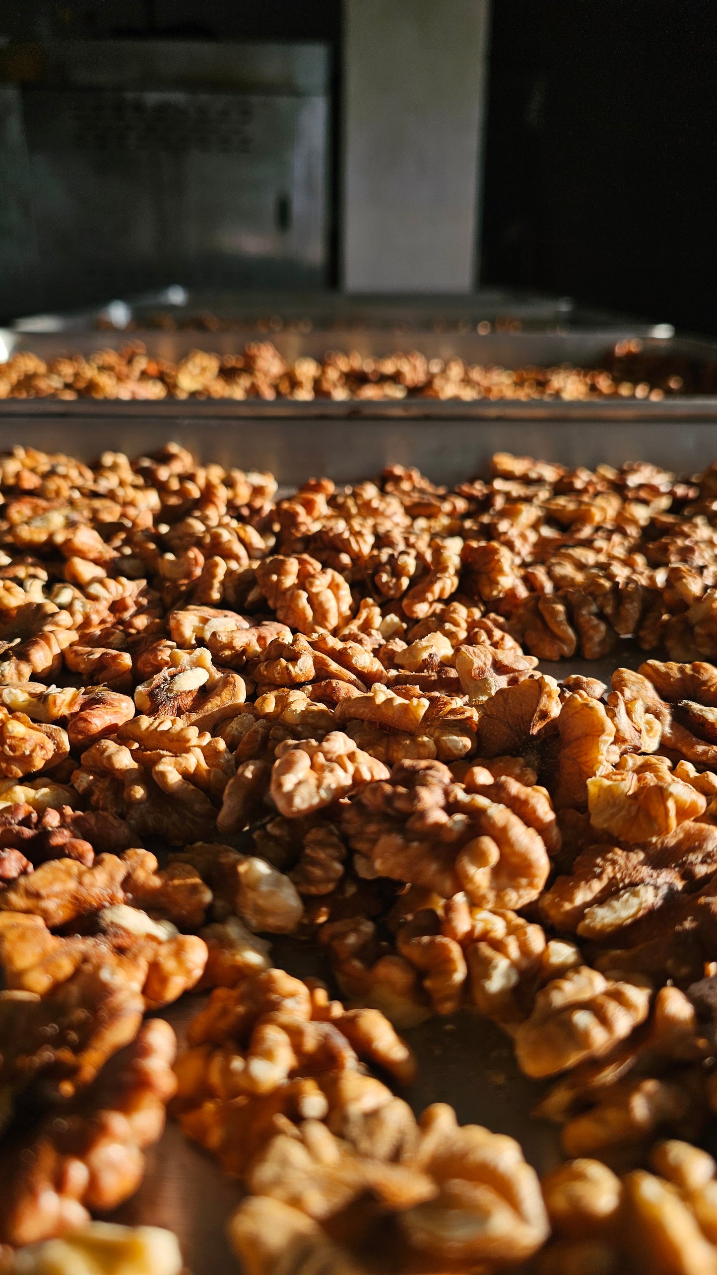 Walnuts by Nutty Frutyss